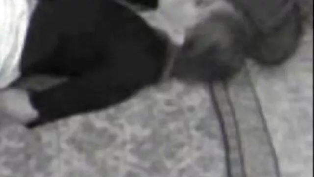 Pornografia sensual sem registo.  Estou vídeos pornôs brasileiros grátis com a minha mulher.