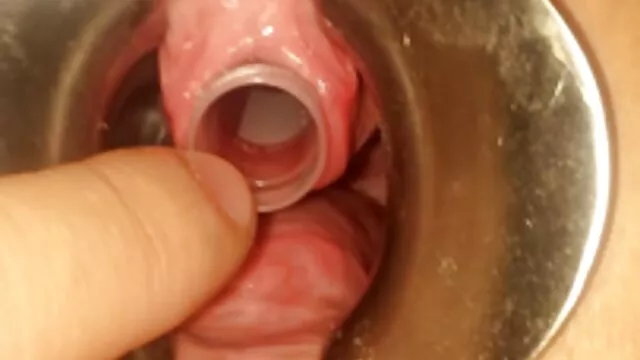Pornografia sensual sem registo.  A rapariga curiosa perguntou - se: 