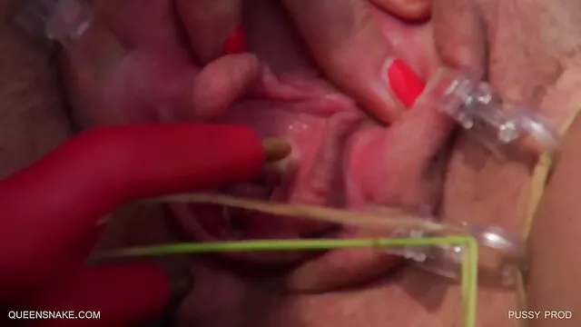 Pornografia sensual sem registo.  Um gatinho tem uma beleza afiada e olha x vidios pornôs gatinhos